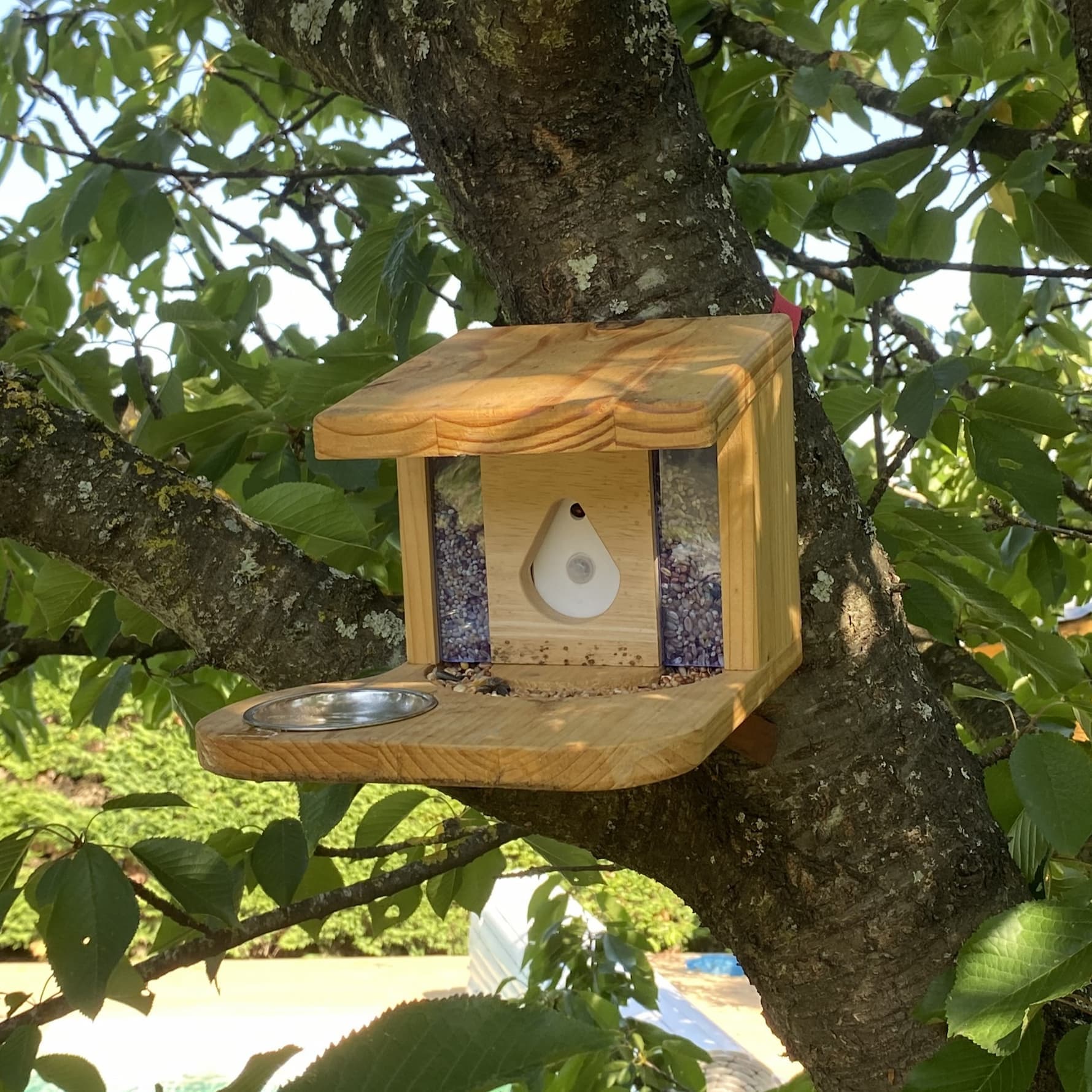 OisiO connected bird feeder — final product